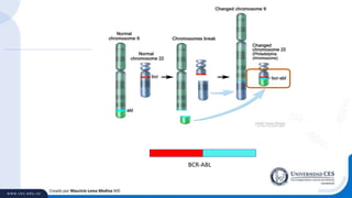 Creado por Mauricio Lema Medina MD
BCR-ABL
 