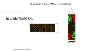 La expression de genes (mRNA) puede cuantificarse
Creado por Mauricio Lema Medina MD
En tejido TUMORAL
 