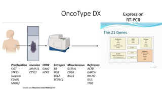 Proliferation
Ki67
STK15
Survivin
CCNB1
MYBL2
Invasion
MMP11
CTSL2
HER2
GRB7
HER2
Estrogen
ER
PGR
BCL2
SCUBE2
Miscelaneous
GSTM1
CD68
BAG1
Reference
ACTB
GAPDH
RPLPO
GUS
TFRC
OncoType DX Expression
RT-PCR
Creado por Mauricio Lema Medina MD
 