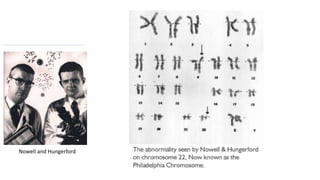 Nowell and Hungerford
 