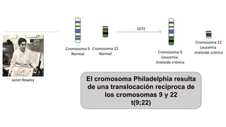 Janet Rowley
Cromosoma 9
Normal
Cromosoma 22
Normal
Cromosoma 22
Leucemia
mieloide crónicaCromosoma 9
Leucemia
mieloide crónica
1972
El cromosoma Philadelphia resulta
de una translocación recíproca de
los cromosomas 9 y 22
t(9;22)
 
