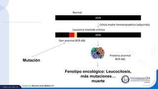 Creado por Mauricio Lema Medina MD
ADN
Normal
ADN
Leucemia mieloide crónica
Gen anormal BCR-ABL
Mutación
Fenotipo oncológico: Leucocitosis,
más mutaciones…
muerte
Proteína anormal
BCR-ABL
Célula madre hematopoyética (adquirida)
 