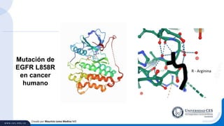 Creado por Mauricio Lema Medina MD
Mutación de
EGFR L858R
en cancer
humano
R - Arginina
 