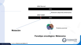 Creado por Mauricio Lema Medina MD
ADN
BRAF Normal
ADN
BRAF V600E
Mutación
Fenotipo oncológico: Melanoma
Mutación adquirida (melanocito)
Proteína anormal
 