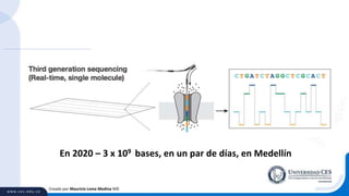 Creado por Mauricio Lema Medina MD
En 2020 – 3 x 109 bases, en un par de días, en Medellín
 