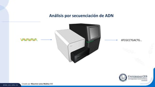 Creado por Mauricio Lema Medina MD
ATCGCCTGACTG…
Análisis por secuenciación de ADN
 