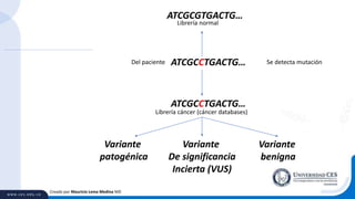Creado por Mauricio Lema Medina MD
ATCGCCTGACTG…Del paciente
ATCGCGTGACTG…
Librería normal
Se detecta mutación
ATCGCCTGACTG…
Librería cáncer (cáncer databases)
Variante
patogénica
Variante
De significancia
Incierta (VUS)
Variante
benigna
 