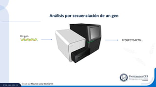 Creado por Mauricio Lema Medina MD
ATCGCCTGACTG…
Un gen
Análisis por secuenciación de un gen
 