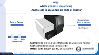 Creado por Mauricio Lema Medina MD
Intron Intron
Exón Exón
Todo el ADN
Todo el Exoma
Secuencia de
todo el exoma
30.000 genes
Análisis de la secuencia de todo el exoma1
Exoma: todo el DNA que se transcribe en una célula normal
Exón: parte del gen que se transcribe
Intrón: parte del gen que NO se transcribe
WES
Whole genome sequencing
 