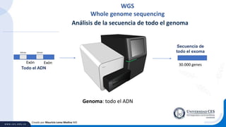 Creado por Mauricio Lema Medina MD
Intron Intron
Exón Exón
Todo el ADN
Secuencia de
todo el exoma
30.000 genes
Análisis de la secuencia de todo el genoma
Genoma: todo el ADN
WGS
Whole genome sequencing
 