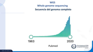 Secuencia del genoma completo
WGS
Whole genome sequencing
Pubmed
 