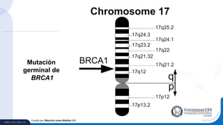 Creado por Mauricio Lema Medina MD
Mutación
germinal de
BRCA1
 