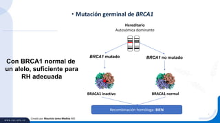 • Mutación germinal de BRCA1
Creado por Mauricio Lema Medina MD
BRCA1 mutado
Hereditario
Autosómica dominante
BRACA1 inactivo
BRCA1 no mutado
BRACA1 normal
Recombinación homóloga: BIEN
Con BRCA1 normal de
un alelo, suficiente para
RH adecuada
 
