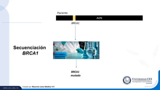 Creado por Mauricio Lema Medina MD
ADN
BRCA1
Secuenciación
BRCA1
BRCA1
mutado
Paciente
 