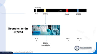 Creado por Mauricio Lema Medina MD
ADN
ATM BRCA1 PALB2 BRCA2
Secuenciación
BRCA1
BRCA1
mutado/no
ATM
?
PALB2
?
BRCA2
?
Paciente
 
