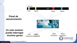 Creado por Mauricio Lema Medina MD
ADN
ATM BRCA1 PALB2 BRCA2
Pánel de
secuenciación
BRCA1
mutado/no
ATM
Mutado/no
PALB2
Mutado/no
BRCA2
Mutado/no
Un solo examen
puede interrogar
muchos genes
Paciente
 