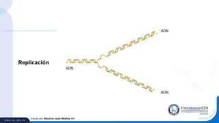 Creado por Mauricio Lema Medina MD
Replicación
ADN
ADN
ADN
 