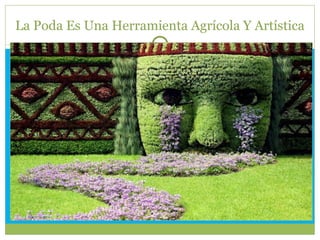 La Poda Es Una Herramienta Agrícola Y Artística 