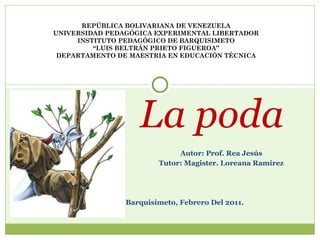 Autor: Prof. Rea Jesús Tutor: Magister. Loreana Ramírez Barquisimeto, Febrero Del 2011. La poda REPÚBLICA BOLIVARIANA DE VENEZUELA UNIVERSIDAD PEDAGÓGICA EXPERIMENTAL LIBERTADOR INSTITUTO PEDAGÓGICO DE BARQUISIMETO “LUIS BELTRÁN PRIETO FIGUEROA” DEPARTAMENTO DE MAESTRIA EN EDUCACIÓN TÉCNICA 