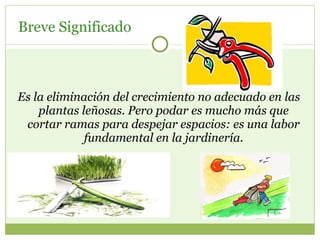 Breve Significado  Es la eliminación del crecimiento no adecuado en las plantas leñosas. Pero podar es mucho más que cortar ramas para despejar espacios: es una labor fundamental en la jardinería. 