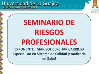 SEMINARIO DE 
RIESGOS 
PROFESIONALES 
EXPONENTE: MARISOL CERCHAR CARRILLO 
Especialista en Sistema de Calidad y Auditoria 
en Salud 
 