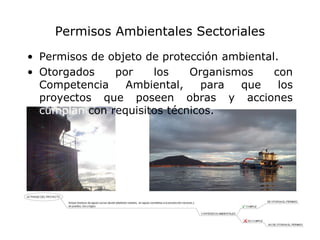 Permisos Ambientales Sectoriales
• Permisos de objeto de protección ambiental.
• Otorgados    por    los    Organismos     con
  Competencia    Ambiental,    para  que     los
  proyectos que poseen obras y acciones
  cumplan con requisitos técnicos.
 