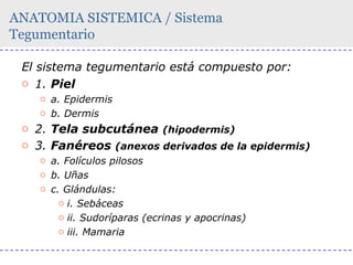 ANATOMIA SISTEMICA / Sistema
Tegumentario
El sistema tegumentario está compuesto por:
o 1. Piel
o a. Epidermis
o b. Dermis

o 2. Tela subcutánea (hipodermis)
o 3. Fanéreos (anexos derivados de la epidermis)
o a. Folículos pilosos
o b. Uñas
o c. Glándulas:
o i. Sebáceas
o ii. Sudoríparas (ecrinas y apocrinas)
o iii. Mamaria

 