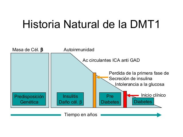 Diabetes Mellitus Tipo 2 Diabetes Mellitus Tipo 2