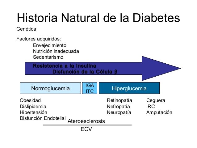 Diabetes Mellitus Tipo 2 Diabetes Mellitus Tipo 2