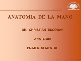 Departamento de Anatomía Humana, U. A. N. L
ANATOMIA DE LA MANO
DR. CHRISTIAN ESCOBAR
ANATOMIA
PRIMER SEMESTRE
 