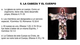 5. LA CABEZA Y EL CUERPO
a. La iglesia es como un cuerpo. Como un
organismo, tiene vida, tiene desarrollo
propio, Efesios 4.11-16
b. Los miembros son designados a un servicio
especial, 1Corintios 12; Romanos 12.32-8
c. El cuerpo es uno, Efesios 1.23; 2.15-16 Le
fue dada a beber de un mismo Espíritu, 1
Corintios 12.1-3
d. La Cabeza de este Cuerpo es Cristo, de
quien se nutre todo el Cuerpo, Efesios 4.15 y 16
 