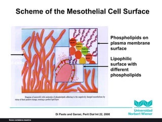 Di Paolo and Garosi, Perit Dial Int 22, 2000
Scheme of the Mesothelial Cell Surface
Microvilli
of meso-
thelial cells
Phospholipids on
plasma membrane
surface
Lipophilic
surface with
different
phospholipids
 
