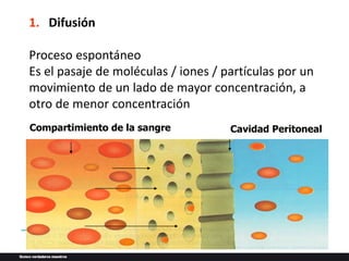 1. Difusión
Proceso espontáneo
Es el pasaje de moléculas / iones / partículas por un
movimiento de un lado de mayor concentración, a
otro de menor concentración
Compartimiento de la sangre Cavidad Peritoneal
 