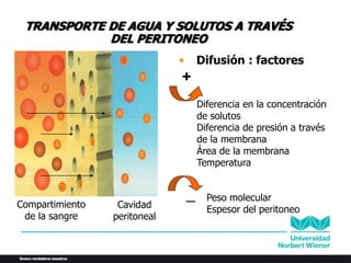 • Difusión : factores
+
Diferencia en la concentración
de solutos
Diferencia de presión a través
de la membrana
Área de la membrana
Temperatura
_ Peso molecular
Espesor del peritoneo
Compartimiento
de la sangre
Cavidad
peritoneal
TRANSPORTE DE AGUA Y SOLUTOS A TRAVÉS
DEL PERITONEO
 