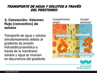 2. Convección- Volumen
flujo (convectivo) de
solutos
Transporte de agua y solutos
simultaneamente debido al
gradiente de presión
hidrostática/osmótica a
través de la membrane
solutos y agua se mueven
en decurrencia del gradiente
Compartimiento
sangre
Cavidad
peritoneal
TRANSPORTE DE AGUA Y SOLUTOS A TRAVÉS
DEL PERITONEO
 