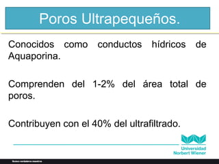 Poros Ultrapequeños.
Conocidos como conductos hídricos de
Aquaporina.
Comprenden del 1-2% del área total de
poros.
Contribuyen con el 40% del ultrafiltrado.
 