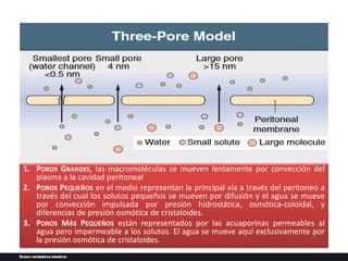 1. POROS GRANDES, las macromoléculas se mueven lentamente por convección del
plasma a la cavidad peritoneal
2. POROS PEQUEÑOS en el medio representan la principal vía a través del peritoneo a
través del cual los solutos pequeños se mueven por difusión y el agua se mueve
por convección impulsada por presión hidrostática, osmótica-coloidal, y
diferencias de presión osmótica de cristaloides.
3. POROS MÁS PEQUEÑOS están representados por las acuaporinas permeables al
agua pero impermeable a los solutos. El agua se mueve aquí exclusivamente por
la presión osmótica de cristaloides.
 