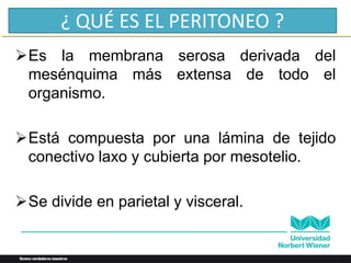 ¿ QUÉ ES EL PERITONEO ?
➢Es la membrana serosa derivada del
mesénquima más extensa de todo el
organismo.
➢Está compuesta por una lámina de tejido
conectivo laxo y cubierta por mesotelio.
➢Se divide en parietal y visceral.
 