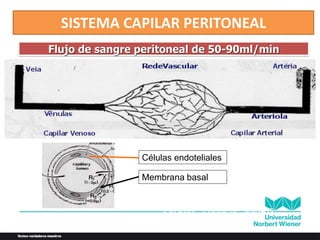Células endoteliales
Membrana basal
Células sangre
Plasma : contiene solutos
Flujo de sangre peritoneal de 50-90ml/min
SISTEMA CAPILAR PERITONEAL
 