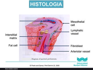 Mesothelial
cell
Lymphatic
vessel
Endothelium
Erythrocyte
Interstitial
matrix
Fibroblast
Arteriolar vessel
Fat cell
Di Paolo and Garosi, Perit Dial Int 22, 2000
HISTOLOGIA
 