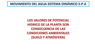 LOS VALORES DE POTENCIAL
HIDRICO DE LA PLANTA SON
CONSECUENCIA DE LAS
CONDICIONES AMBIENTALES
(SUELO Y ATMÓSFERA)
MOVIMIENTO DEL AGUA SISTEMA DINÁMICO S-P-A
 