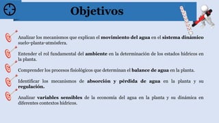 Objetivos
Analizar los mecanismos que explican el movimiento del agua en el sistema dinámico
suelo ̶ planta ̶ atmósfera.
Entender el rol fundamental del ambiente en la determinación de los estados hídricos en
la planta.
Comprender los procesos fisiológicos que determinan el balance de agua en la planta.
Identificar los mecanismos de absorción y pérdida de agua en la planta y su
regulación.
Analizar variables sensibles de la economía del agua en la planta y su dinámica en
diferentes contextos hídricos.
 