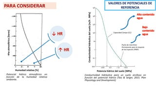 Conductividad
hidráulica
del
suelo
[m/h
.
MPa]
Potencia hídrico del suelo [MPa]
Capacidad Campo (CC)
Punto de marchitez
Permanente para la mayoría
de las especies (PMP)
Conductividad hidráulica para un suelo arcilloso en
función del potencial hídrico (Taiz & Seiger, 2015. Plan
Physiology and Development)
-Ψw
atmosférico
[bares]
Humedad relativa [%]
Potencial hídrico atmosférico en
función de la humedad relativa
ambiente.
VALORES DE POTENCIALES DE
REFERENCIA
PARA CONSIDERAR
 