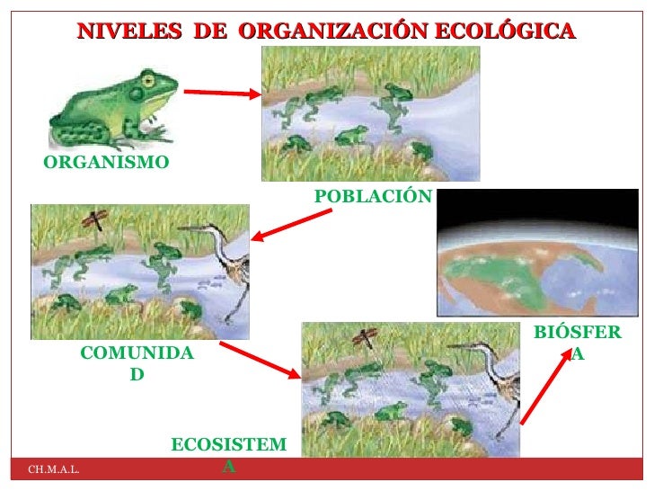 Clase Ecosistemas