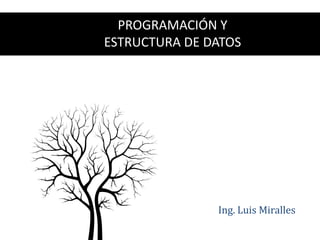 Ing. Luis Miralles
PROGRAMACIÓN Y
ESTRUCTURA DE DATOS
 