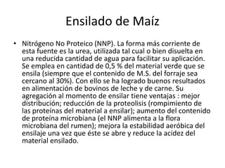 Ensilado de MaízNitrógeno No Proteico (NNP). La forma más corriente de esta fuente es la urea, utilizada tal cual o bien disuelta en una reducida cantidad de agua para facilitar su aplicación. Se emplea en cantidad de 0,5 % del material verde que se ensila (siempre que el contenido de M.S. del forraje sea cercano al 30%). Con ello se ha logrado buenos resultados en alimentación de bovinos de leche y de carne. Su agregación al momento de ensilar tiene ventajas : mejor distribución; reducción de la proteolisis (rompimiento de las proteínas del material a ensilar); aumento del contenido de proteína microbiana (el NNP alimenta a la flora microbiana del rumen); mejora la estabilidad aeróbica del ensilaje una vez que éste se abre y reduce la acidez del material ensilado.