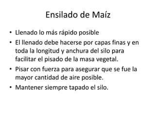 Ensilado de MaízLlenado lo más rápido posibleEl llenado debe hacerse por capas finas y en toda la longitud y anchura del silo para facilitar el pisado de la masa vegetal.Pisar con fuerza para asegurar que se fue la mayor cantidad de aire posible.Mantener siempre tapado el silo.