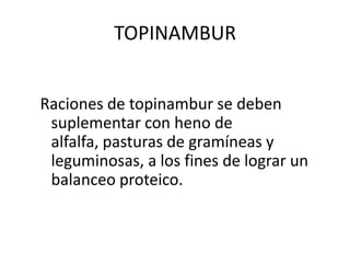 TOPINAMBURRaciones de topinambur se deben suplementar con heno de alfalfa, pasturas de gramíneas y leguminosas, a los fines de lograr un balanceo proteico.