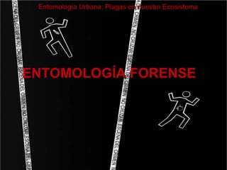 Entomología Urbana: Plagas en nuestro Ecosistema




ENTOMOLOGÍA FORENSE
 