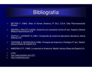 Bibliografía
                              Bibliografía
     NETTER F (1994): Atlas of Human Anatomy (7ª Ed.). U.S.A. Ciba Pharmaceuticals
     Division.

     MOORE K, DALLEY A (2002): Anatomía con orientación clínica (4ª ed.). España, Editorial
     Médica Panamericana S.A.

     TESTUT L, LATARJET A (1981): Compendio de anatomía descriptiva. Barcelona, Salvat
     Editores S.A.

     TORTORA G, REYNOLDS S (1998): Principios de Anatomía y Fisiología (7ª ed.). Madrid,
     Harcout Brace de España S.A.

     AMEERALLY P. (1998): Lo esencial en Anatomía. Madrid, Harcout Brace de España S.A.

     Links:
a.   http://www.bartleby.com/107/
b.   http://medlineplus.gov/
 